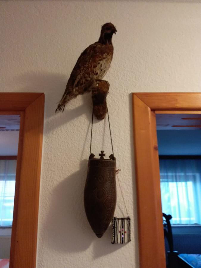Appartamento Kuca Za Odmor Sarcevic Prozor Esterno foto